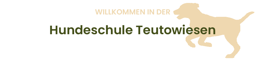 Hundeschule Teutowiesen Hundetraining in Ibbenbüren und Tecklenburger Land